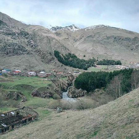 Vardisubani Villa Kazbegi Eksteriør bilde