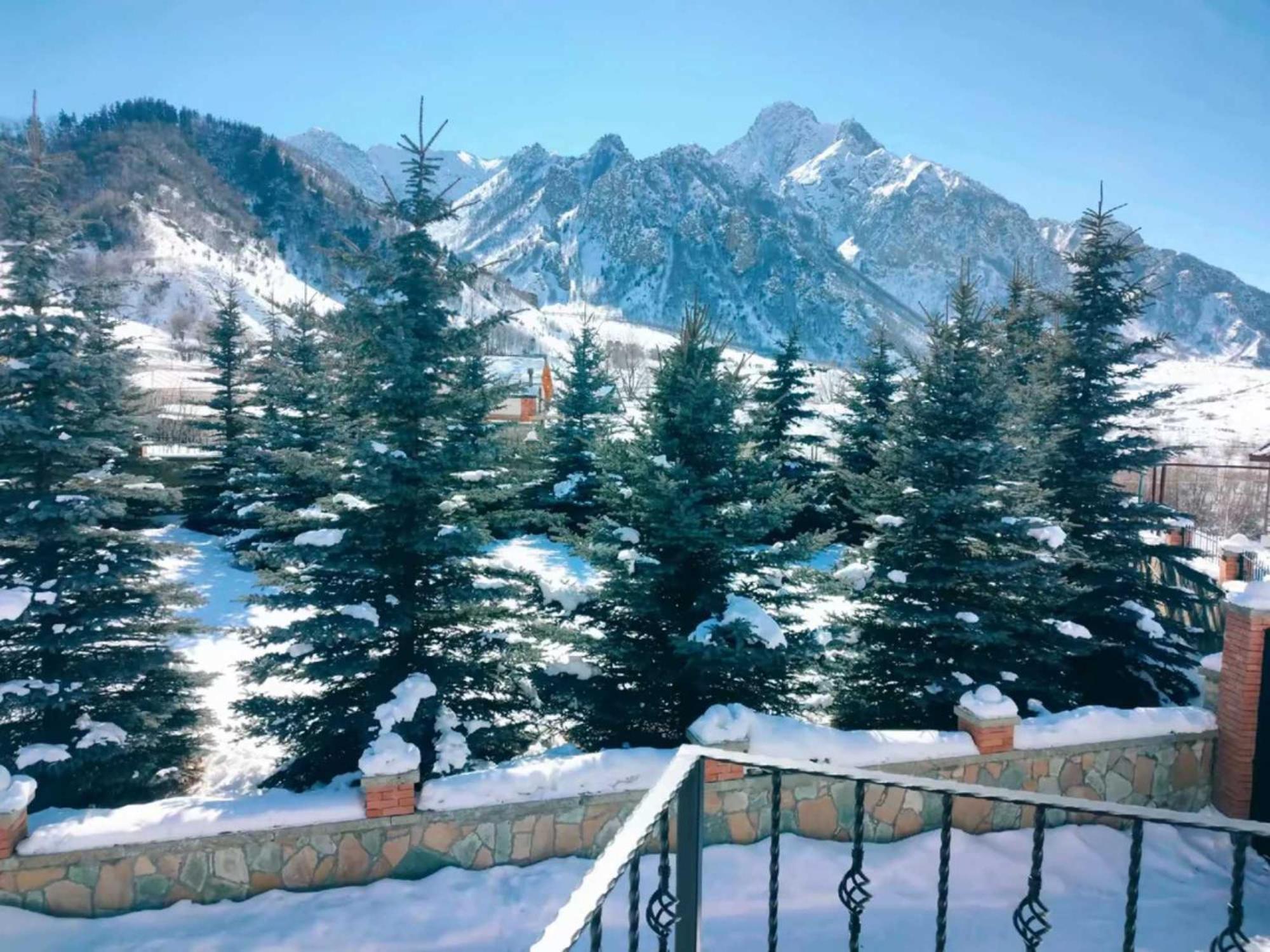 Vardisubani Villa Kazbegi Eksteriør bilde