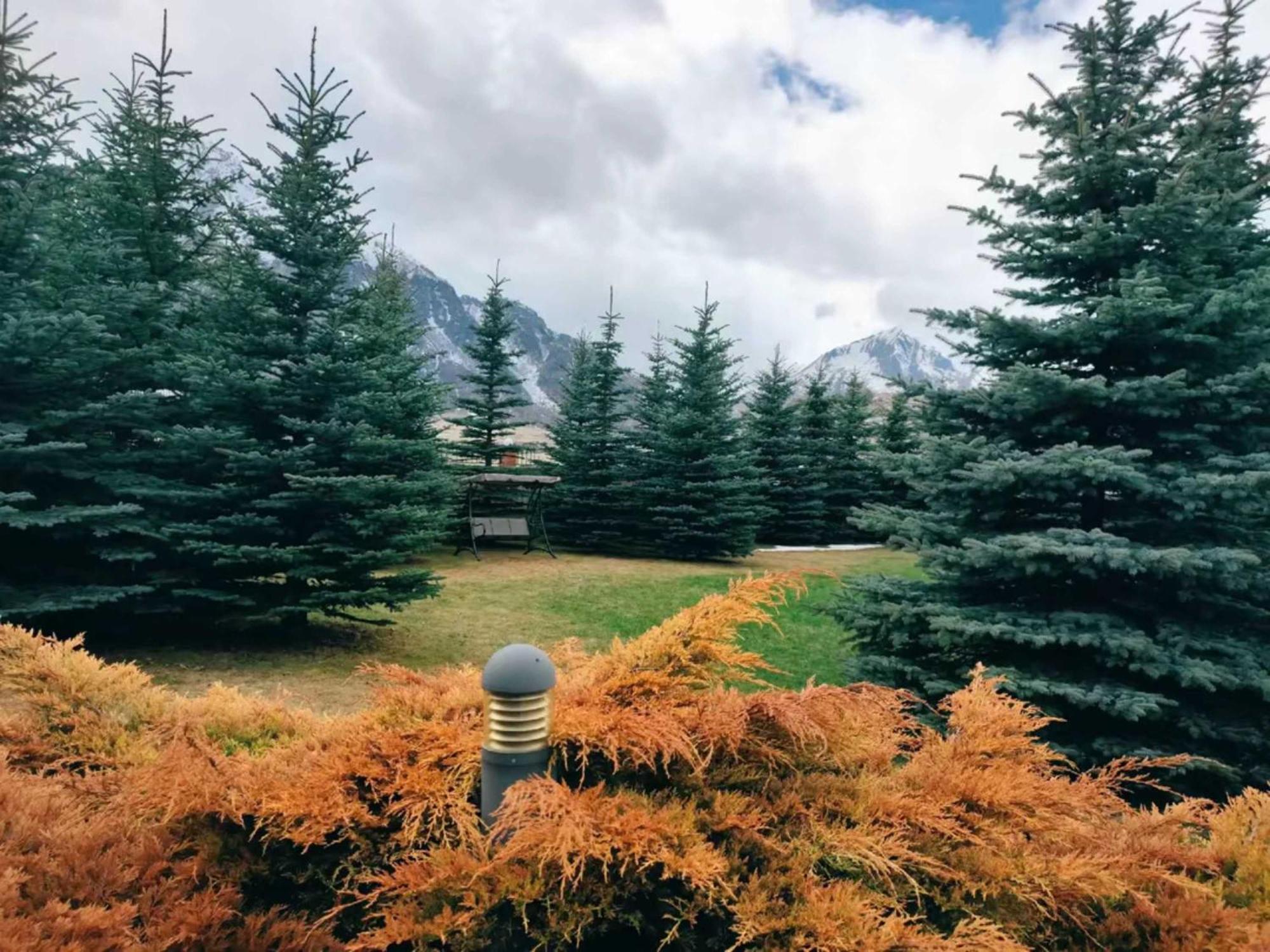 Vardisubani Villa Kazbegi Eksteriør bilde