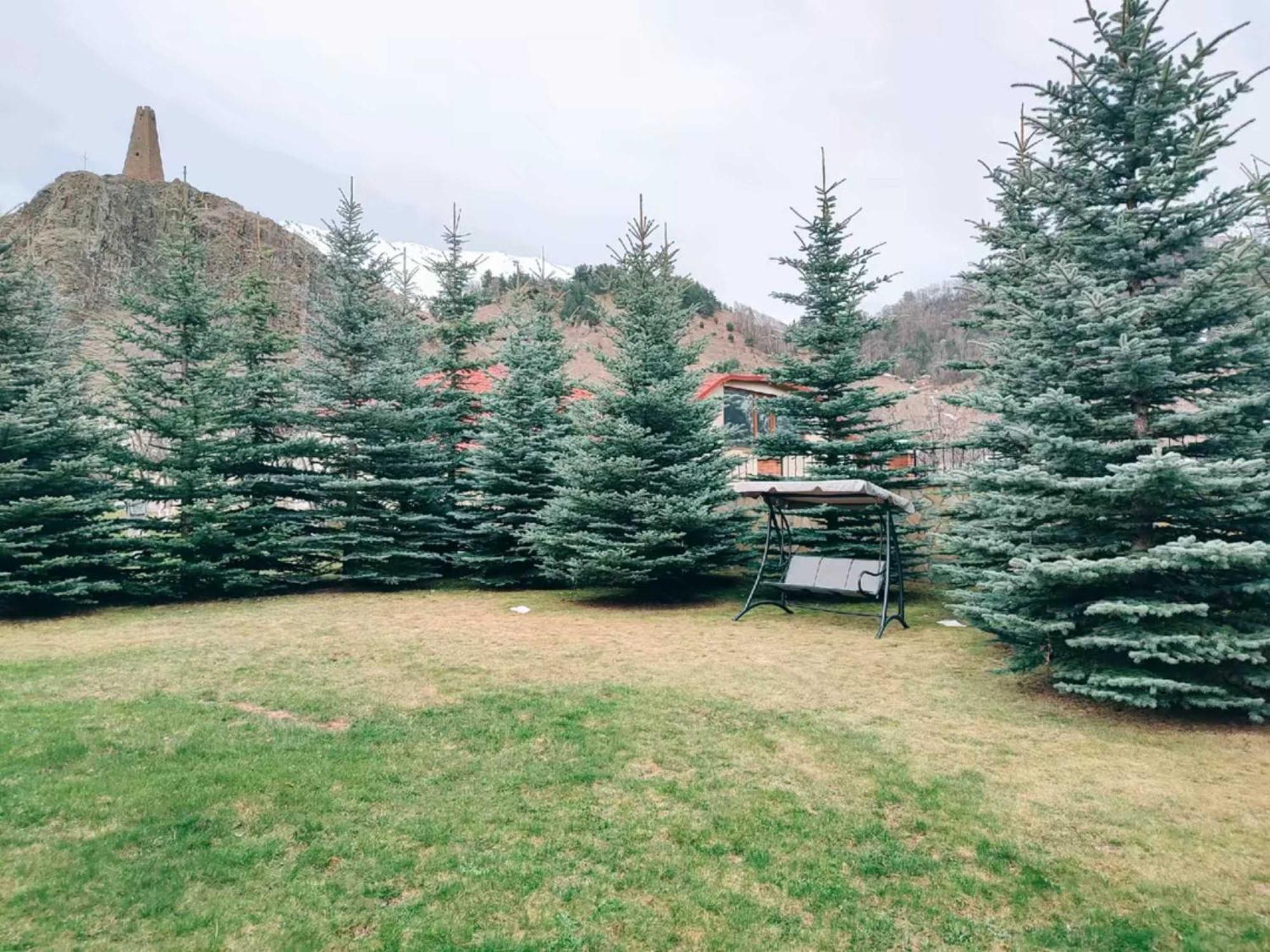 Vardisubani Villa Kazbegi Eksteriør bilde