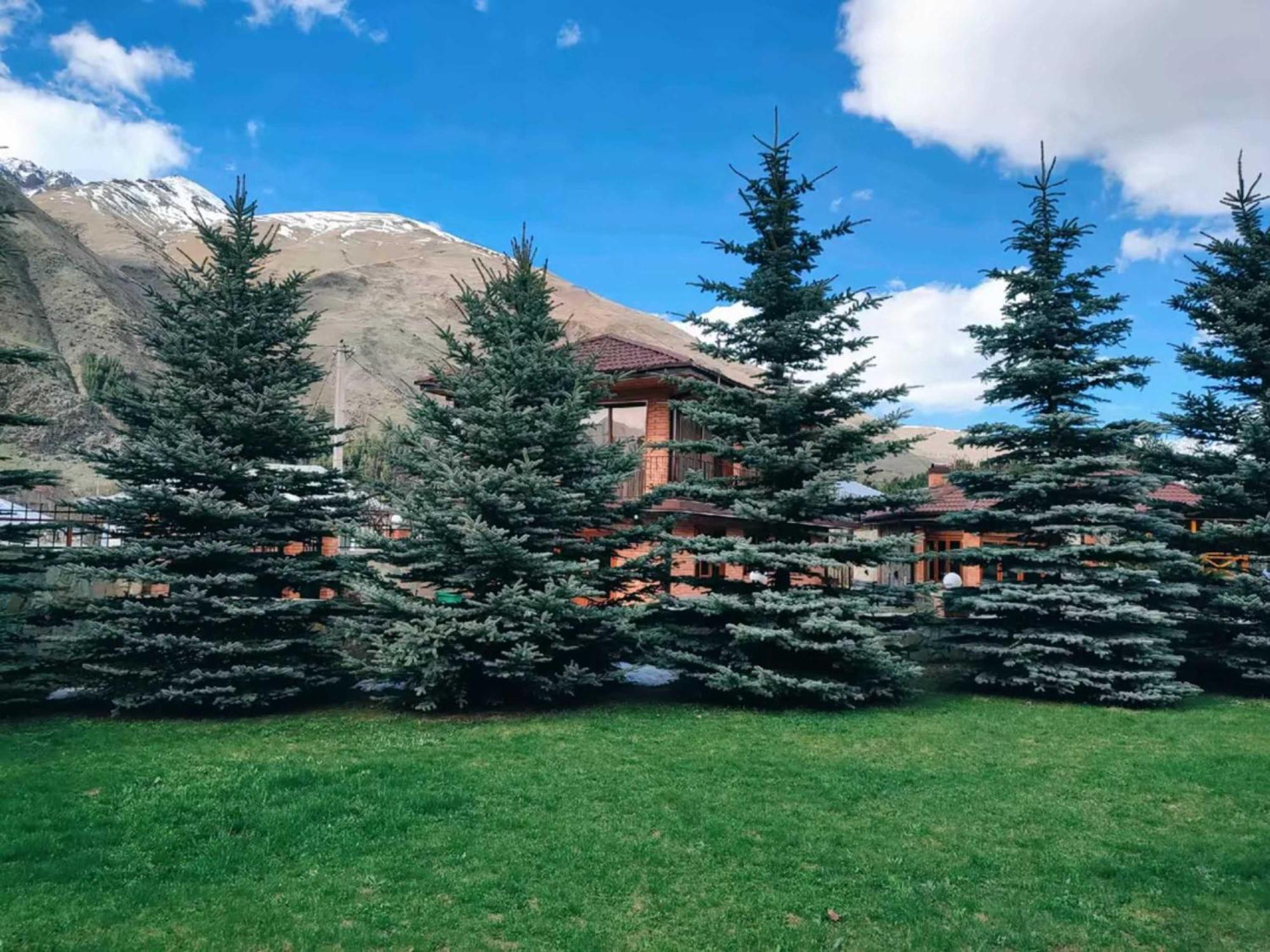 Vardisubani Villa Kazbegi Eksteriør bilde